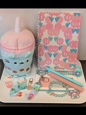 Pusheen Plush Boba with Pink & Aqua Accessories